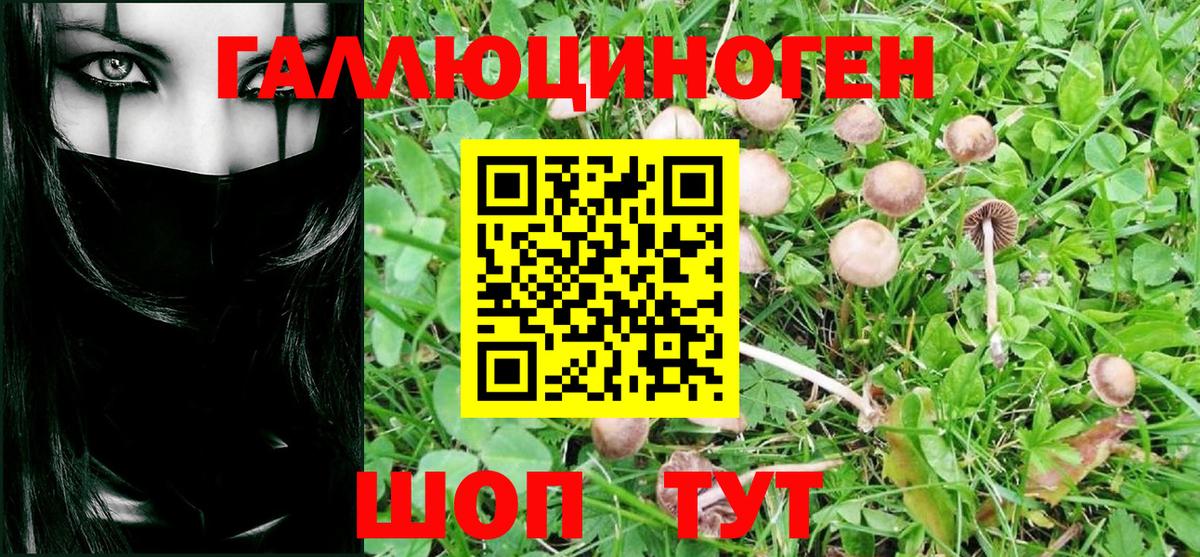 Галлюциногенные грибы мицелий Зерноград