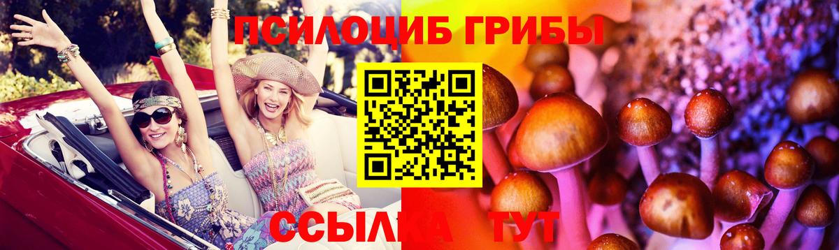 где продают   Галлюциногенные грибы MAGIC MUSHROOMS  Псилоцибиновые грибы MAGIC MUSHROOMS  Вход с VPN  Зерноград 